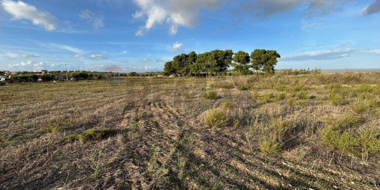 20251023175952-994509-2