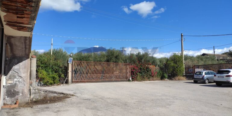 20251025113309-996074-4