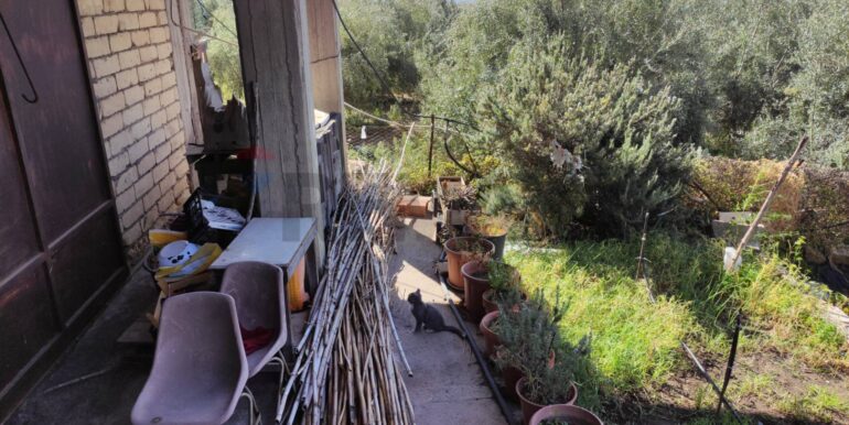 20251025113316-996074-6