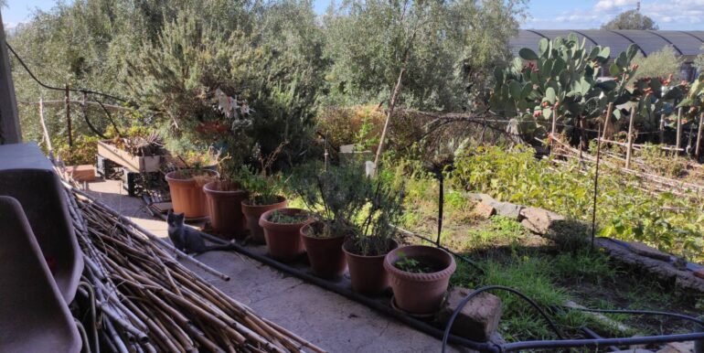 20251025113319-996074-7