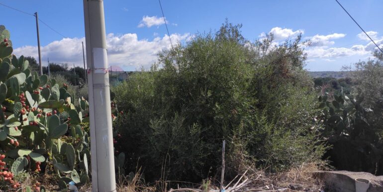 20251025113408-996074-22