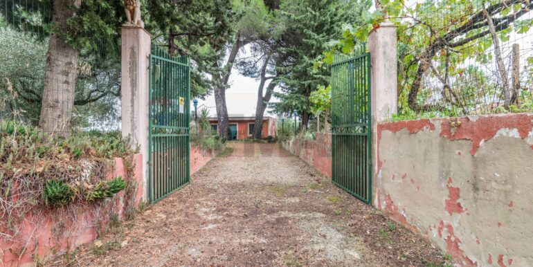 20251026215623-987093-1