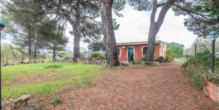 20251026215635-987093-3