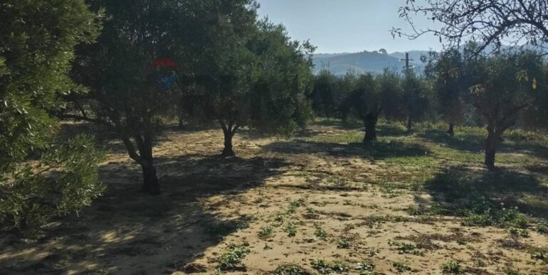 20251027132623-996271-3