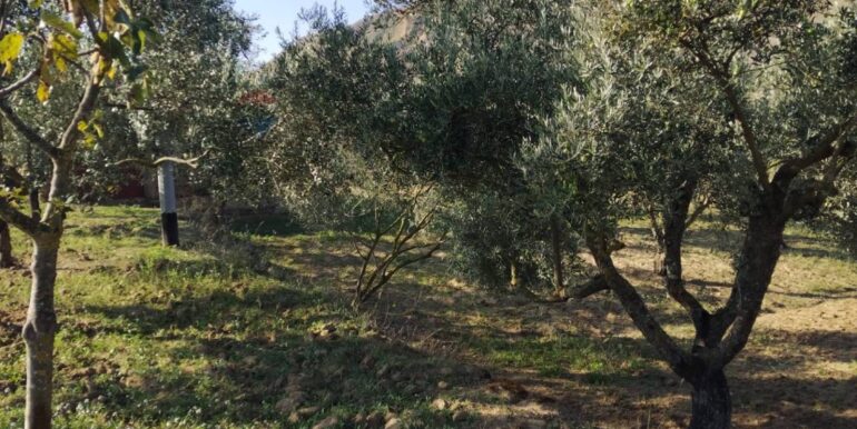 20251027132629-996271-5