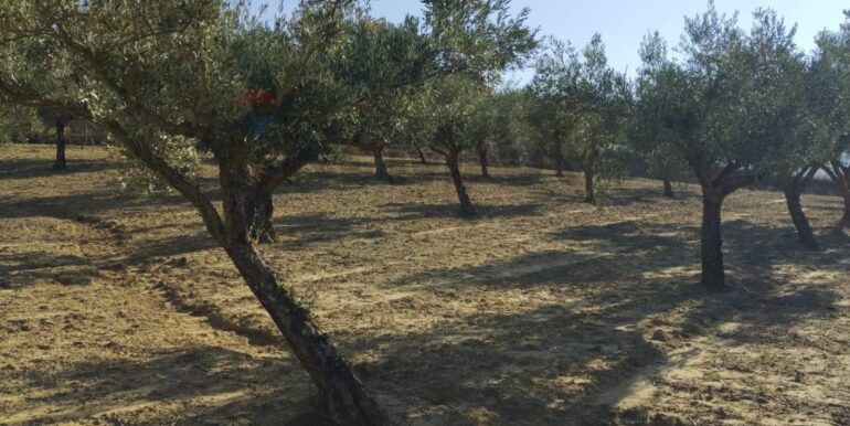 20251027132651-996271-12