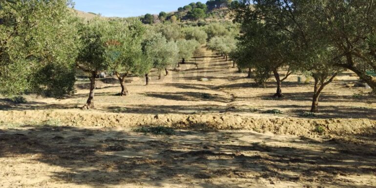 20251027132654-996271-13