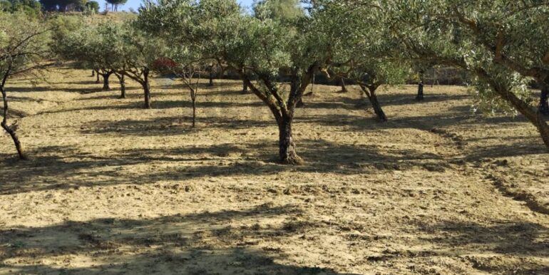 20251027132658-996271-14