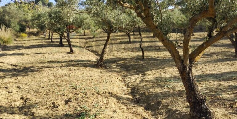 20251027132701-996271-15