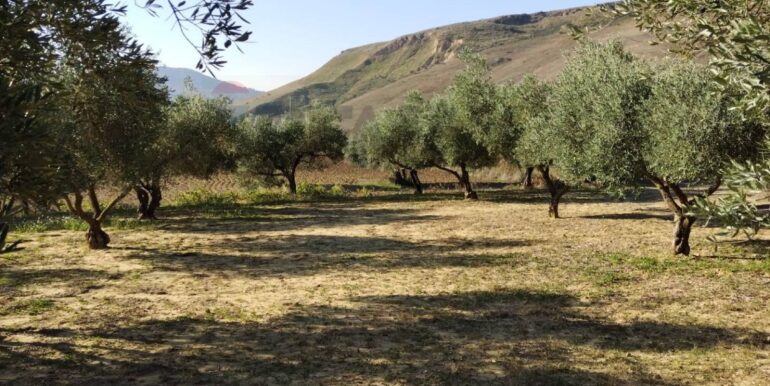 20251027132708-996271-17