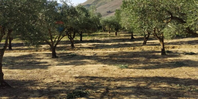 20251027132715-996271-19