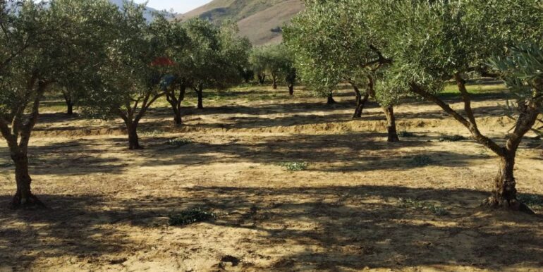 20251027132719-996271-20