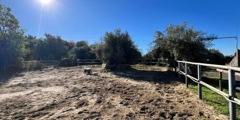 20251028175549-996791-2