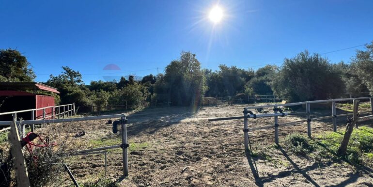 20251028175554-996791-3