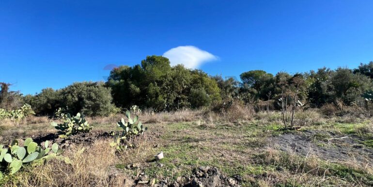 20251028175623-996791-9