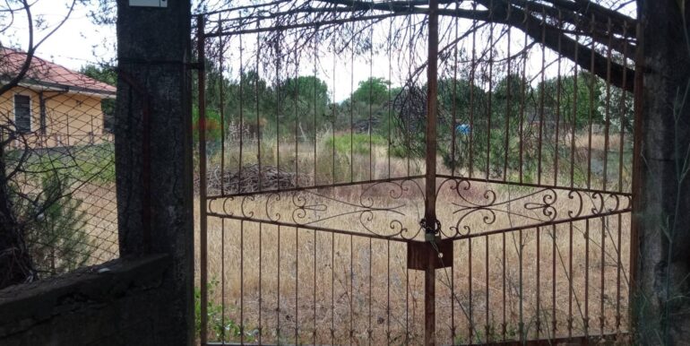 20251029120321-996910-4