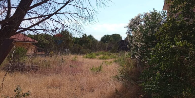 20251029120333-996910-6