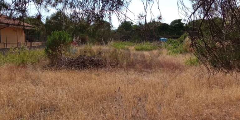 20251029120349-996910-8