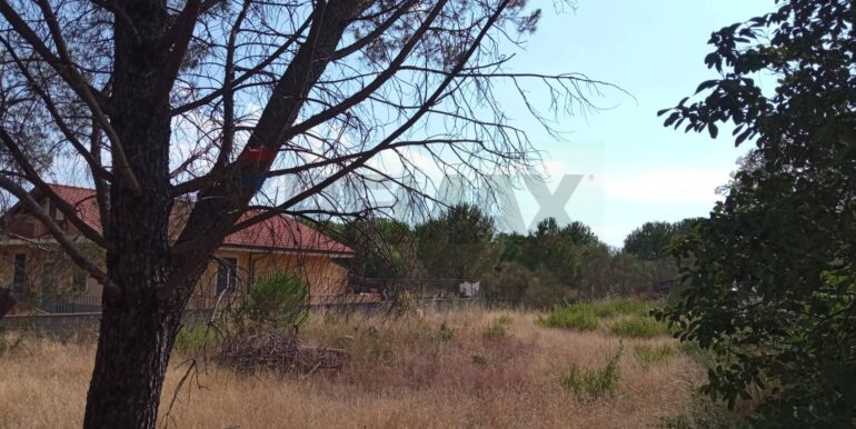 20251029120357-996910-9