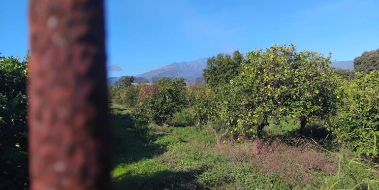 20251030192403-997362-6