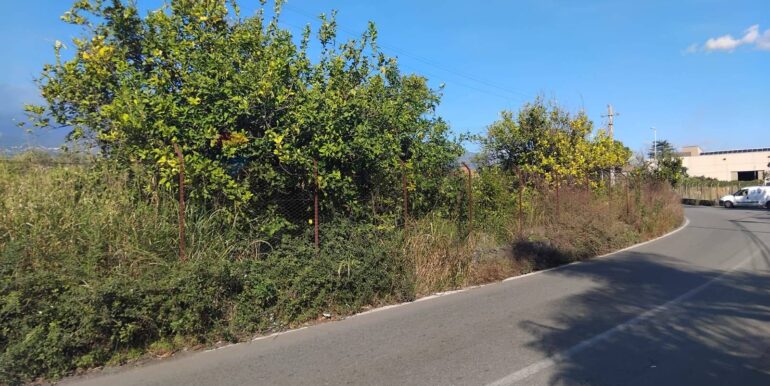 20251030192427-997362-14