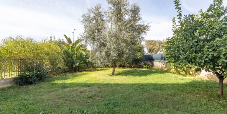 2025103093736-994401-36