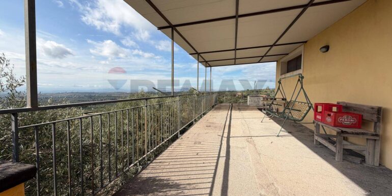 2025110274833-997697-8