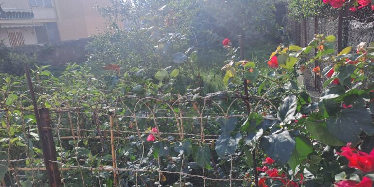 20251104123731-998403-5