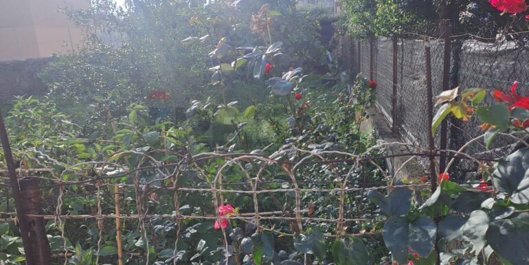 20251104123739-998403-8