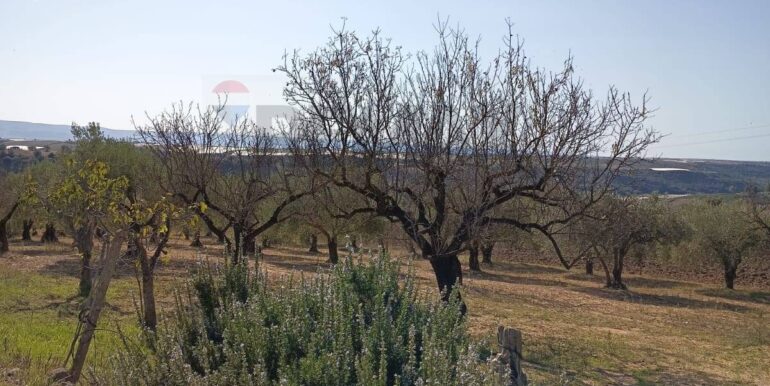 20251104170300-998291-1