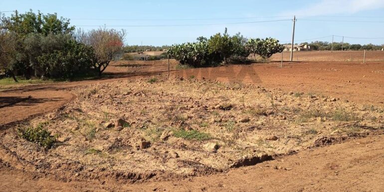 20251104170318-998291-4