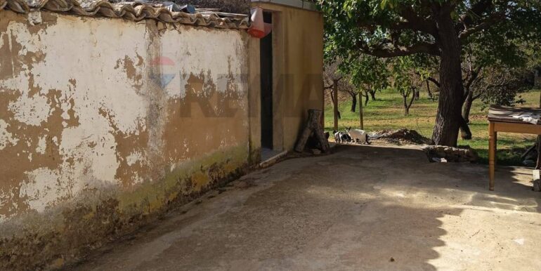 20251104170324-998291-5