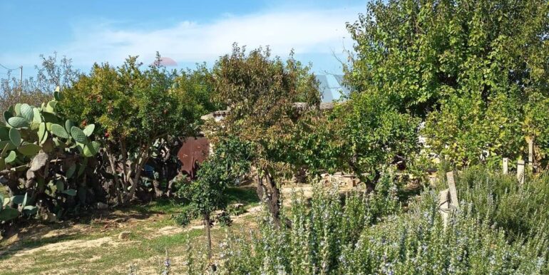 20251104170436-998291-19