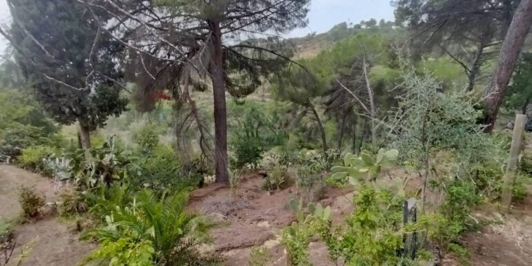 20251105114637-998881-4