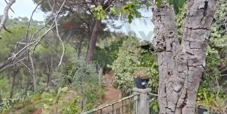 20251105114641-998881-5