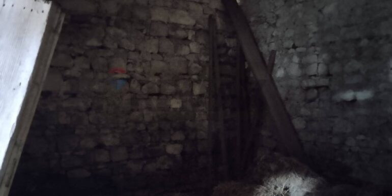 20251105131253-998941-5