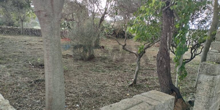 20251105131314-998941-14