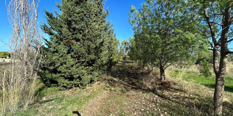 20251107194604-999330-1