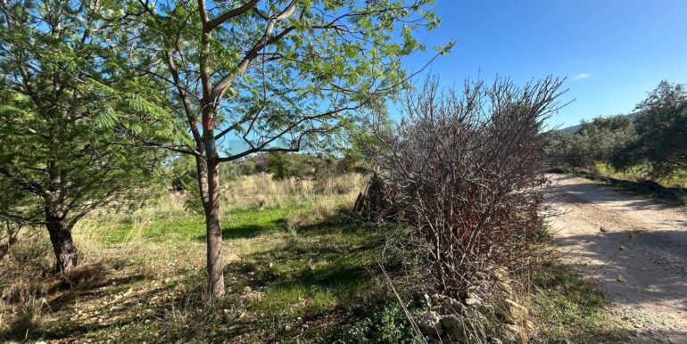 20251107194634-999330-11