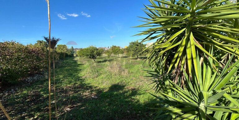 20251107194640-999330-13