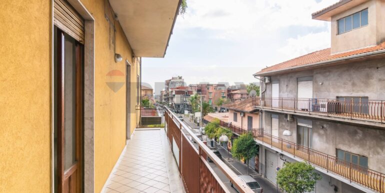 2025110795909-999310-11