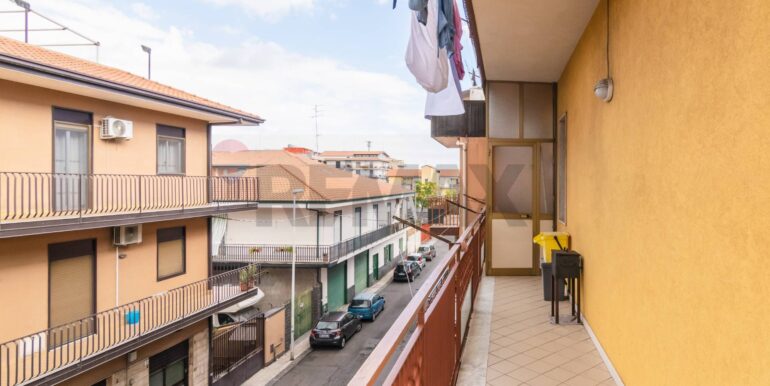 2025110795912-999310-12