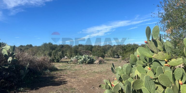 20251109175709-999763-1