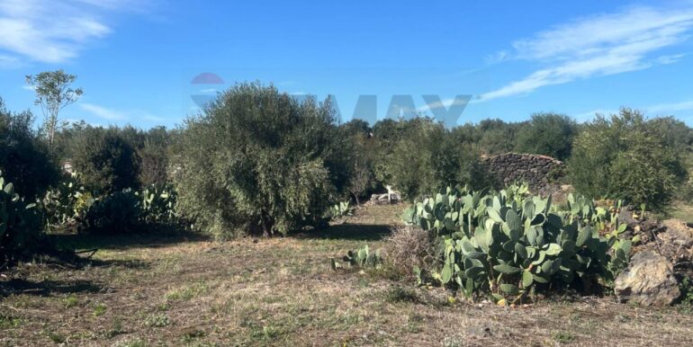 20251109175714-999763-2