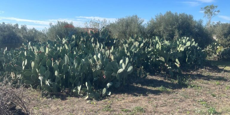 20251109175716-999763-3