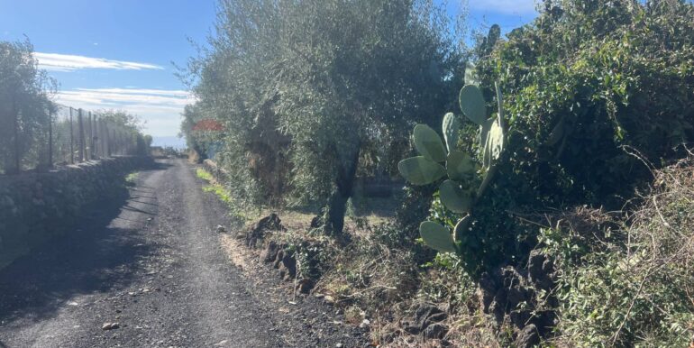 20251109175719-999763-4