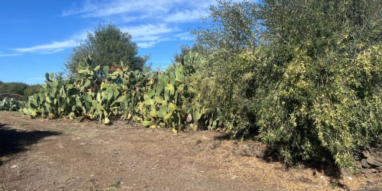 20251109175721-999763-5