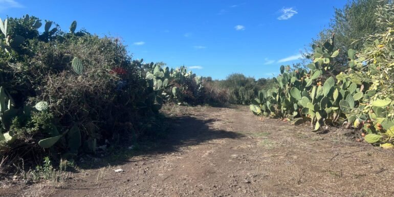 20251109175726-999763-7