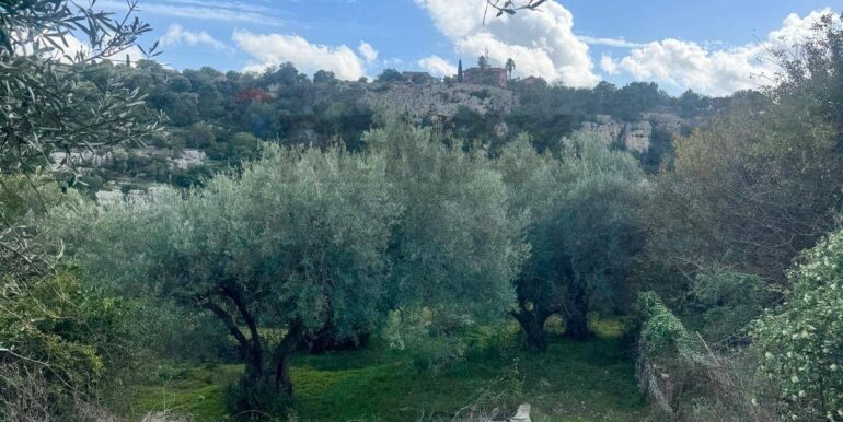 20251111115519-1000087-2