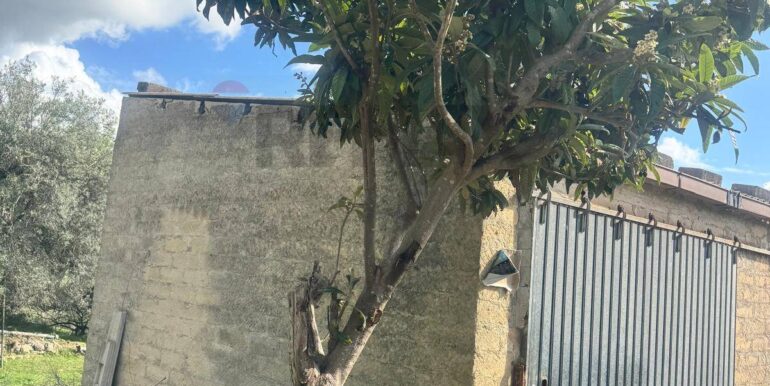 20251111115522-1000087-3